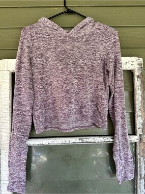 Source Unknown Marled Mauve Cropped Hoodie